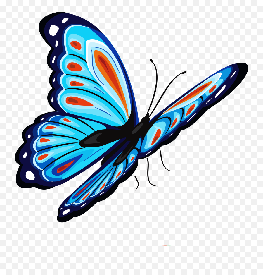 Blue Butterfly Png - Butterfly Png Hd,Blue Butterfly Transparent Background