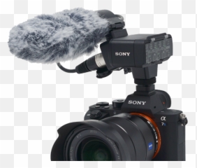 Vlogging Alpha Setups - Sony Cameras For Vlogging Png,Vlog Png
