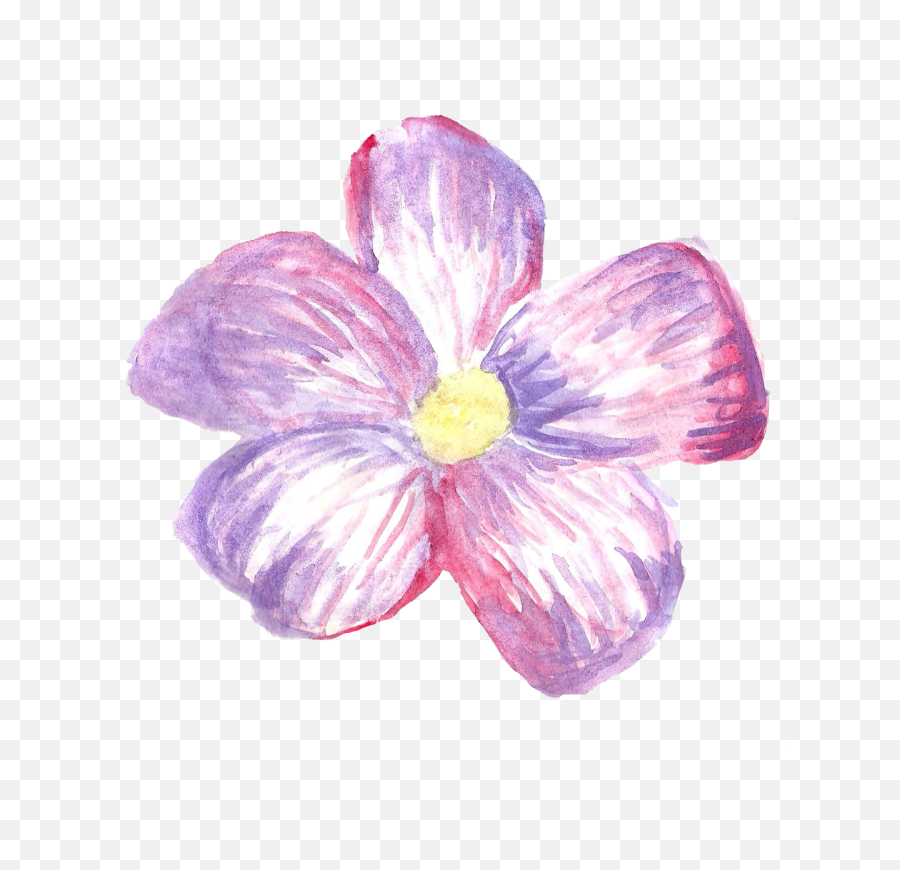 Download Ana Rosa - Flower Sticker Png Transparent,Tumblr Stickers Png