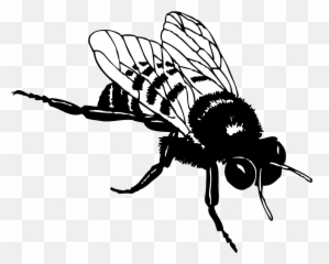 Clipartist - Bee Art Black And White png