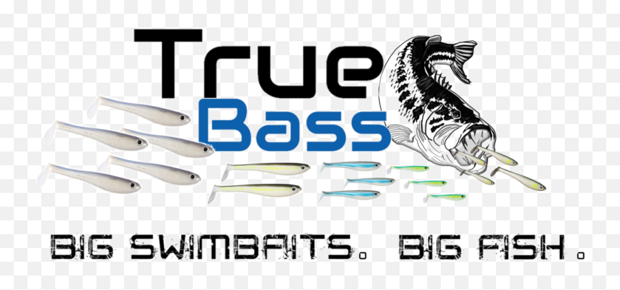 True Bass Swimbaits U2013 Fishing - True Bass Swimbaits Png,Bass Fish Png