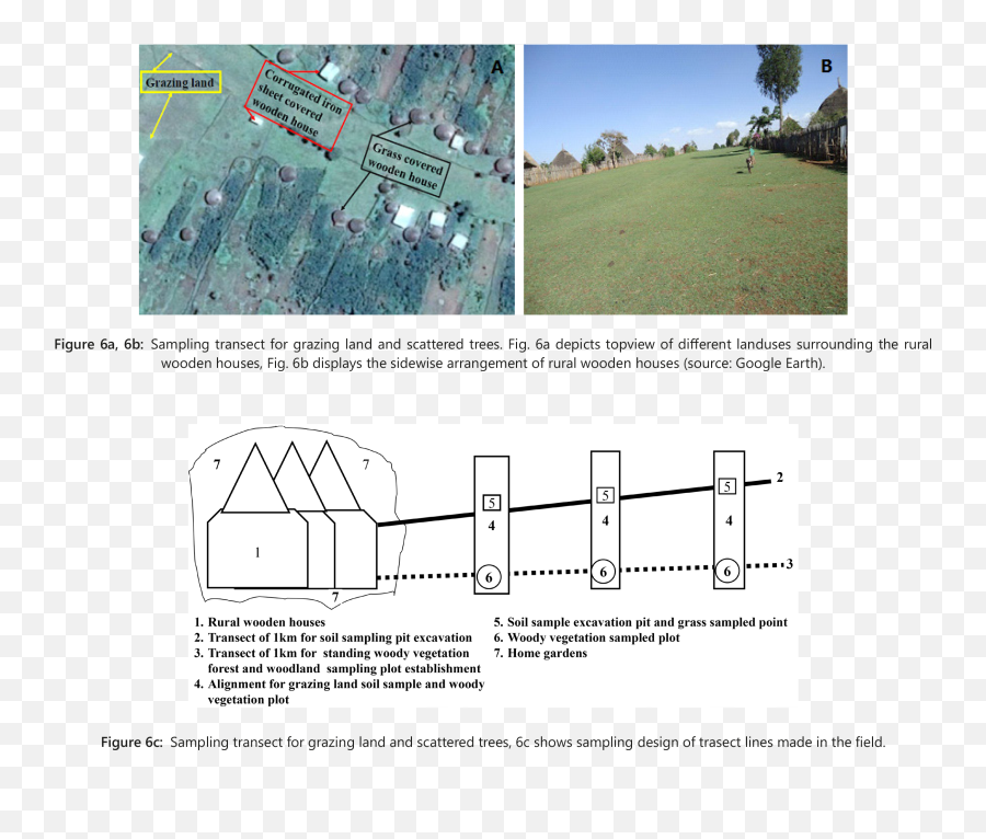 Carbon Storage Of Wooden Houses Trees And Grazing Land In - Diagram Png,Grass Top View Png