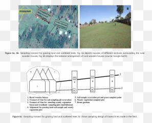 Carbon Storage Of Wooden Houses Trees And Grazing Land In - Diagram Png,Grass Top View Png