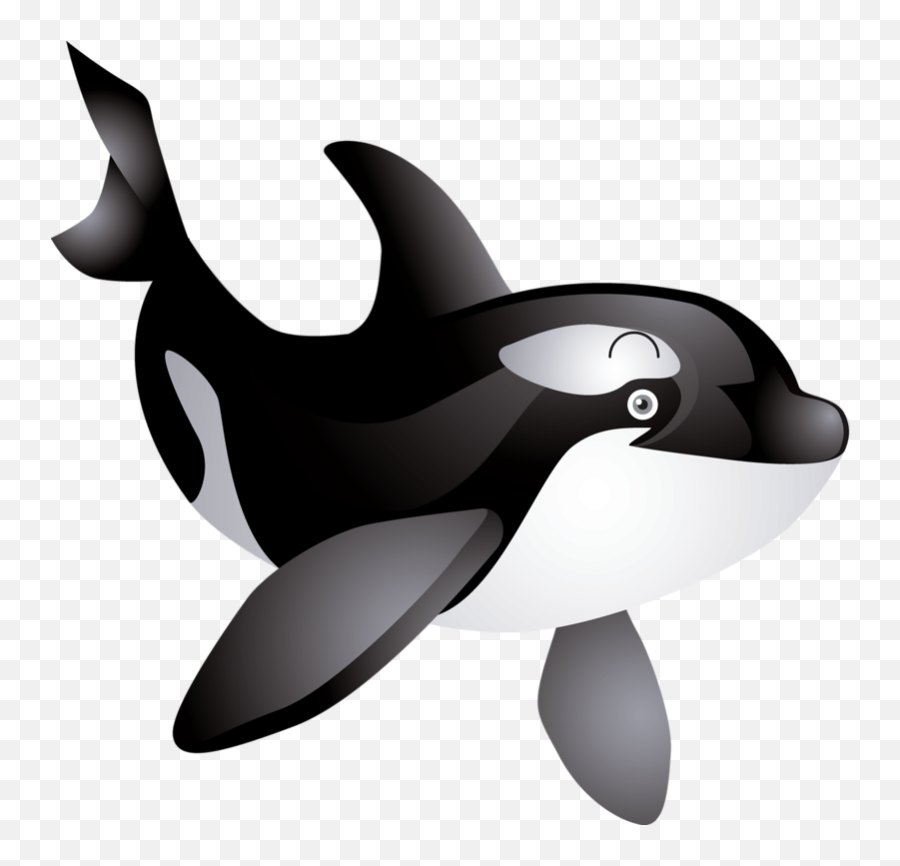 Free Killer Whale Clipart - Cartoon Killer Whale Clipart Png,Whale Clipart Png
