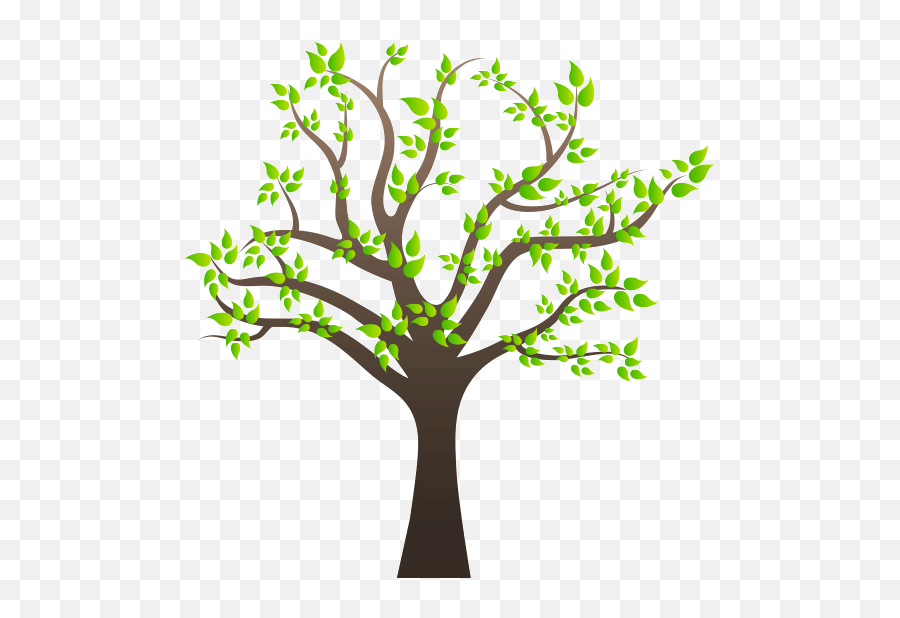 Family Tree Clipart Png - Tree Clip Art Png,Plant Clipart Png