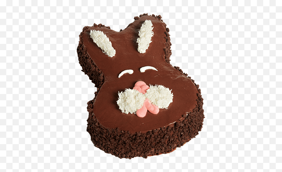 Chocolate Bunny Ice Cream Cake Carvel Shop - Chocolate Easter Bunny Cake Png,Chocolate Bunny Png