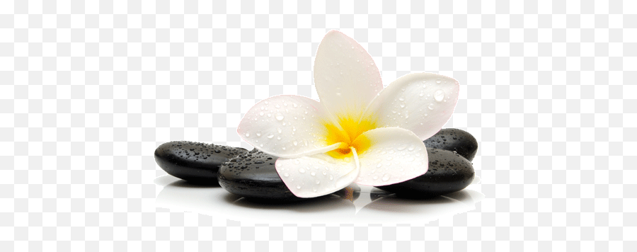 Relax Png Transparent Picture 360 - Black Pebble In Water,Relax Png