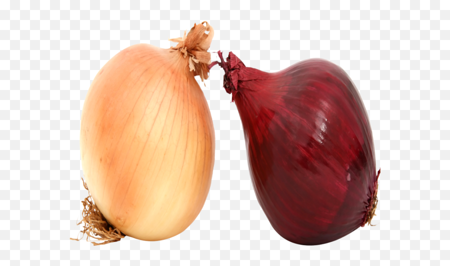 Red Onion Png Fresh Onions Image - Yellow Onion,Onion Transparent Background