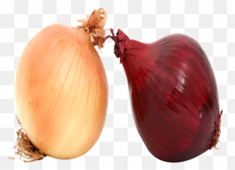 Red Onion Png Fresh Onions Image - Yellow