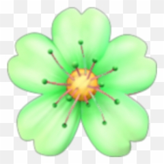 Green - Emoji Flor Png,Flower Emoji Png