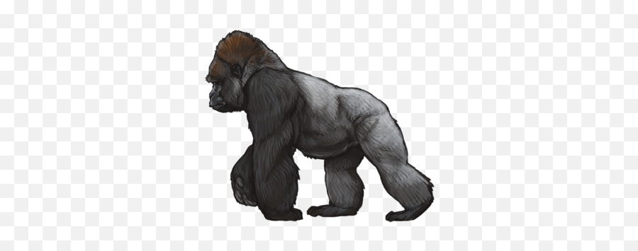 Unofficial Karma Event List Lioden - Monkey Png,Gorilla Transparent Background