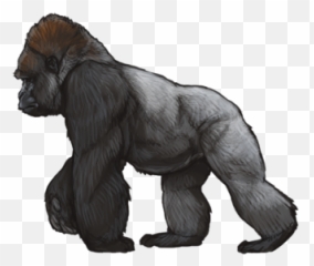Unofficial Karma Event List Lioden - Monkey Png,Gorilla Transparent Background