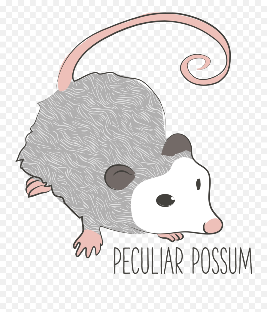 Next Chapter - Possum Clipart Png,Possum Png