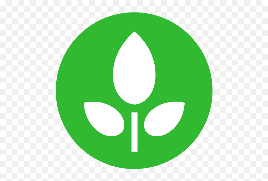 Eve Wall E Plant - Wall E Plant Logo Png,Wall E Png