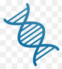 Download Free Png Dna Strand With Alpha 01 Vid Prev - Science Tools In Black And White,Dna Strand Png