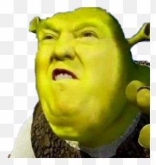 Trump Donaldtrump Shrek Meme Stealthis Stealthissticker - Try Not To Laugh Png,Trump Head Transparent Background