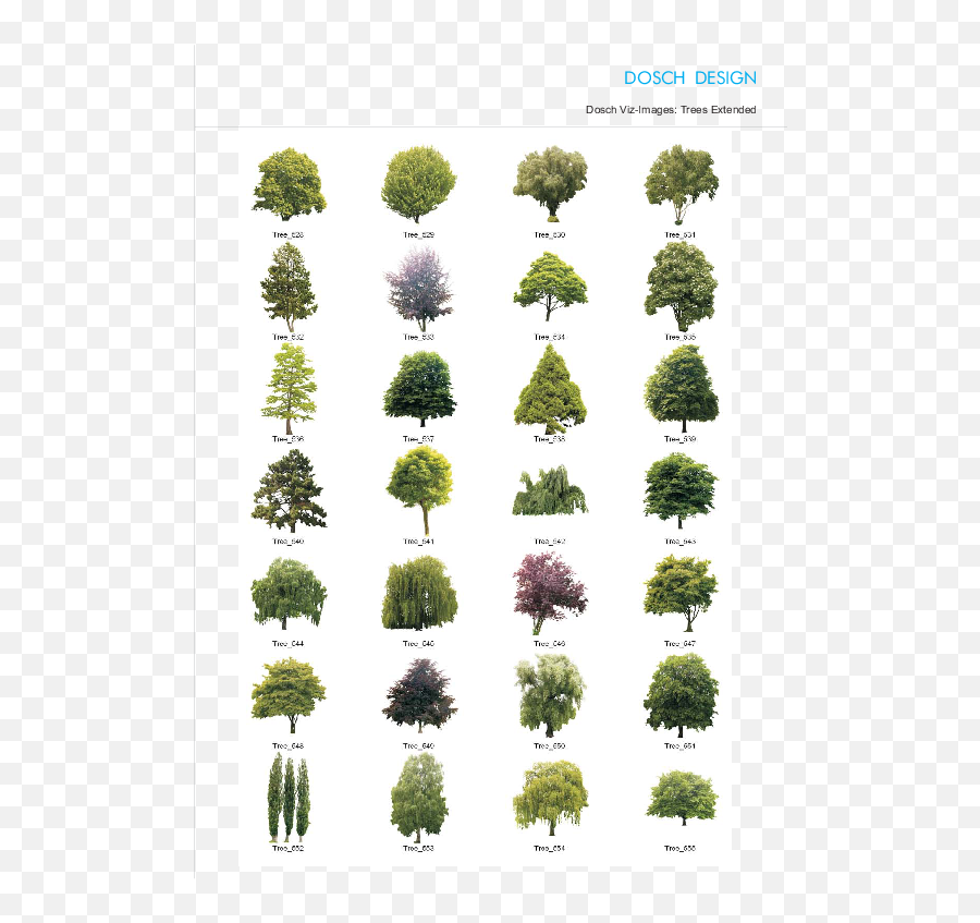 Png Plants For Photoshop - Attractive Quantity Discounts Up Vegetação Png Para Photoshop,Png Trees For Photoshop