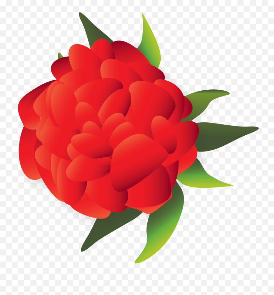 Mexican Flower Clipart Png Flowers