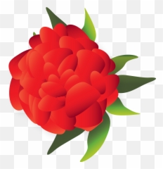 Mexican Flower Clipart Png