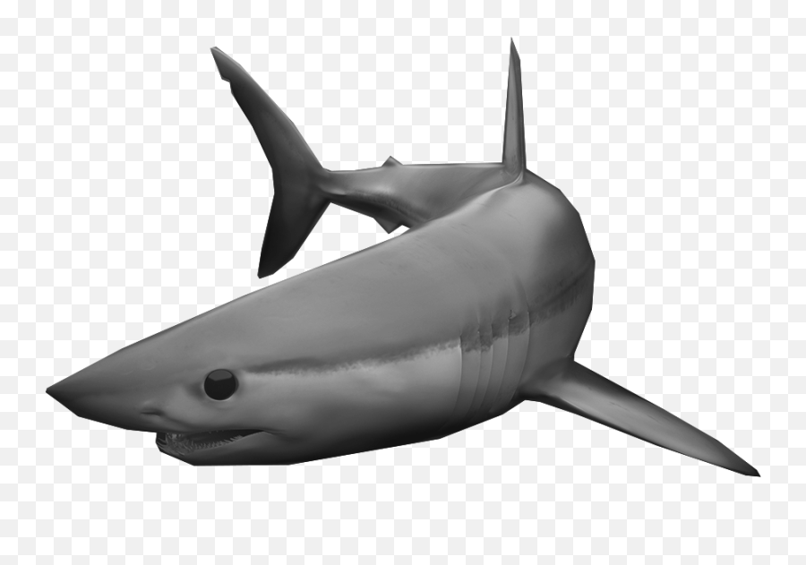 Wordmarks And Logos Nsu Florida - Nova Southeastern University Nsu Mako Shark Png,Shark Logo Brand