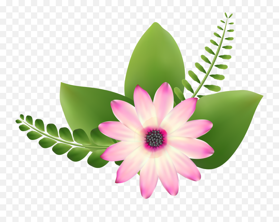 Green Flower Transparent Png Clipart - Pink And Green Flowers Png,Green Flower Png