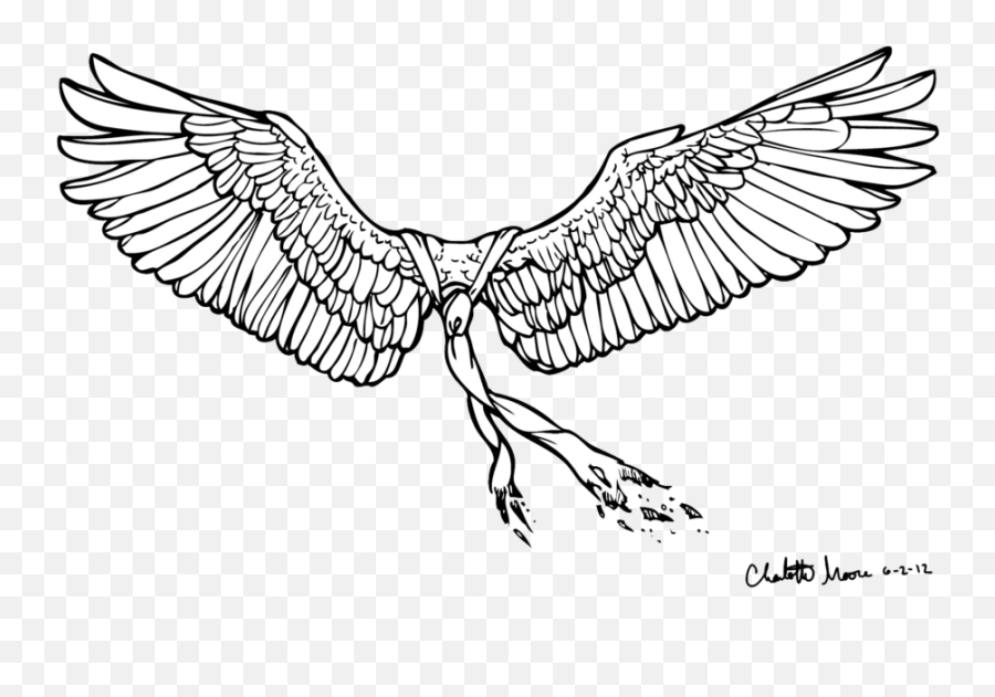 Castiel Drawing Line Art - Heart Wing Png Download 900557 Accipitridae,Castiel Png