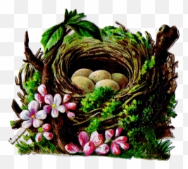 Birdu0027s Nest Clipart Vintage - Bird Nest Full Size Png Clip Art,Nest Png
