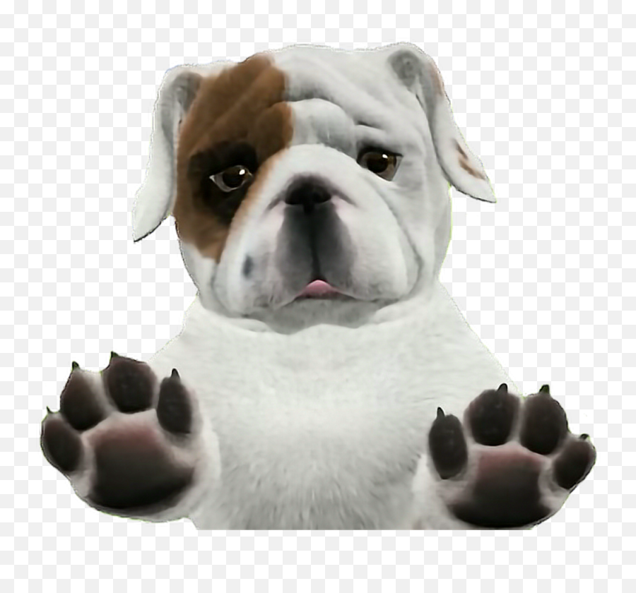 Download Bulldog Puppy - Transparent Background Dogs Png Png Transparent Background Dogs Png,Dogs Png