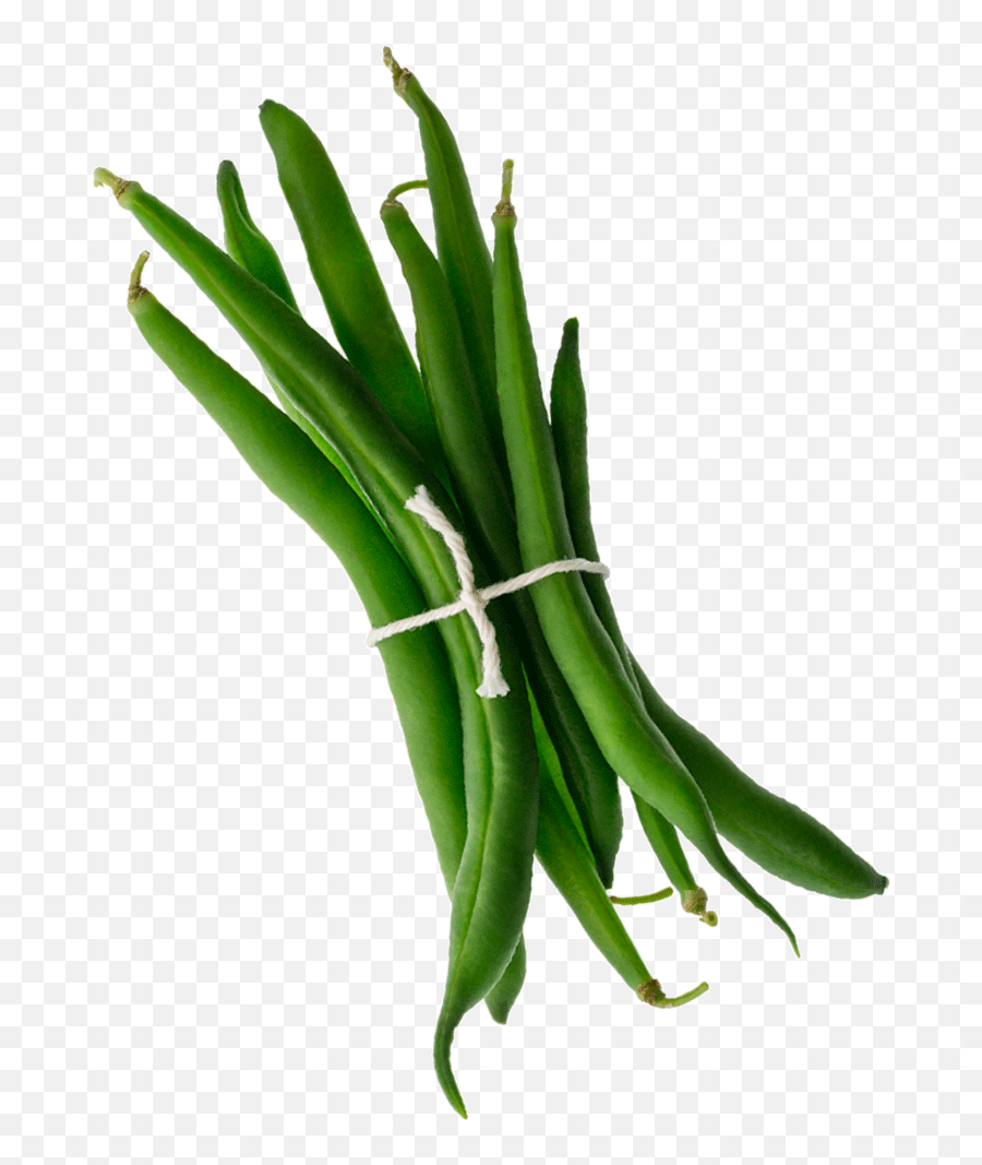Download Hd 001 Mambo Product Images - Orris Root Png,Green Beans Png