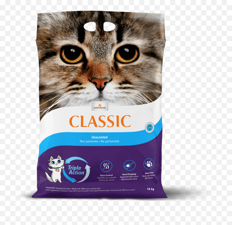 Innovative Clumping Cat Litter Intersand - Intersand Classic Baby Powder Png,Cat Icon Meaning