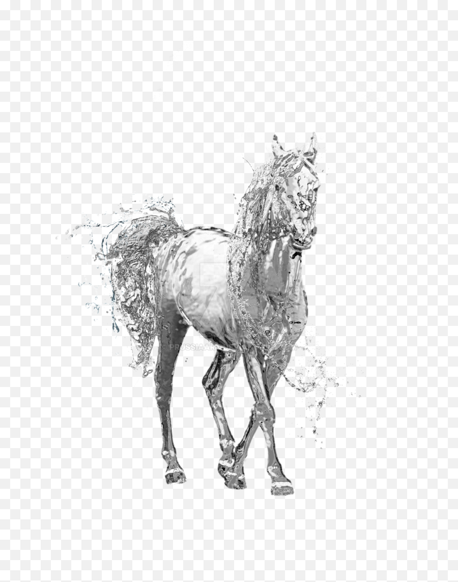 Download Water Horse Png Transparent - Water Water Horse Png,Water Transparent Background