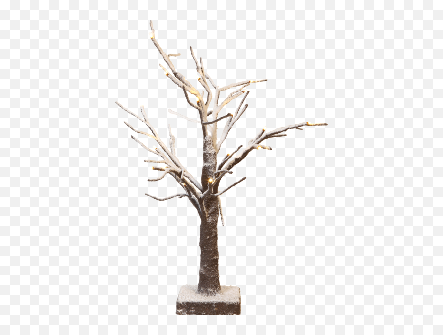 Table Decoration Tobby Tree - Star Trading Tree Png,Decor Png