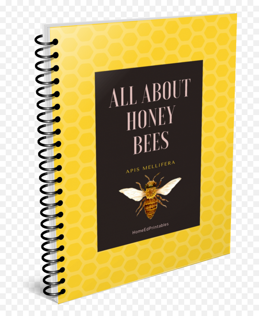 Honey Bees Unit Study - Prof Dr Tuna Karahan Png,Bees Png