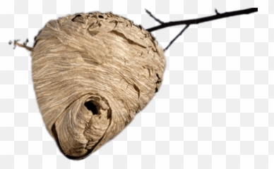 Beehives Transparent Png Images - Real Beehive,Beehive Png