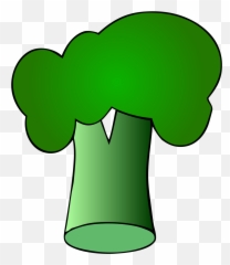 Filebroccolisvg - Wikipedia Cartoon Broccoli Png,Broccoli Transparent