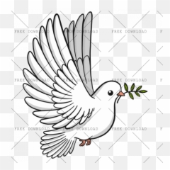 Dove Bird Png Image With Transparent