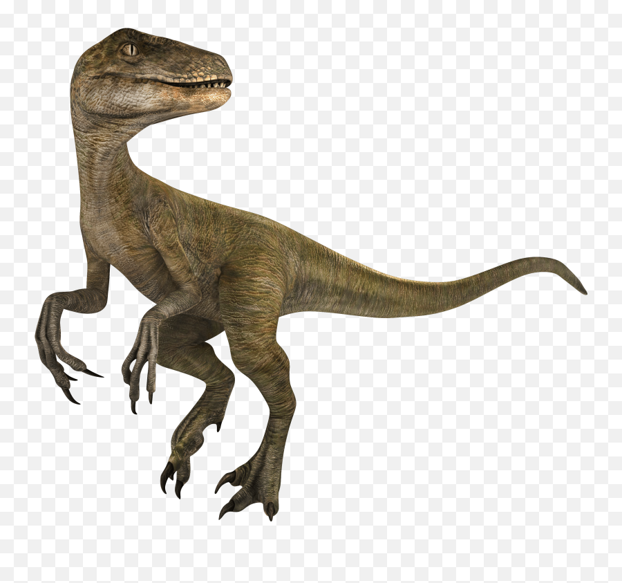 Velociraptor - Velociraptor Jwa Png,Velociraptor Png