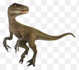 Velociraptor - Velociraptor Jwa Png,Velociraptor Png