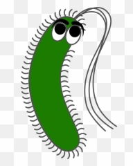 Germ Virus Bacteria - Bacteria Clipart Png,Germs Png