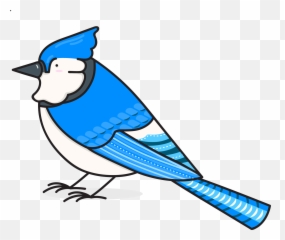 Blue jay clipart. Free download transparent .PNG