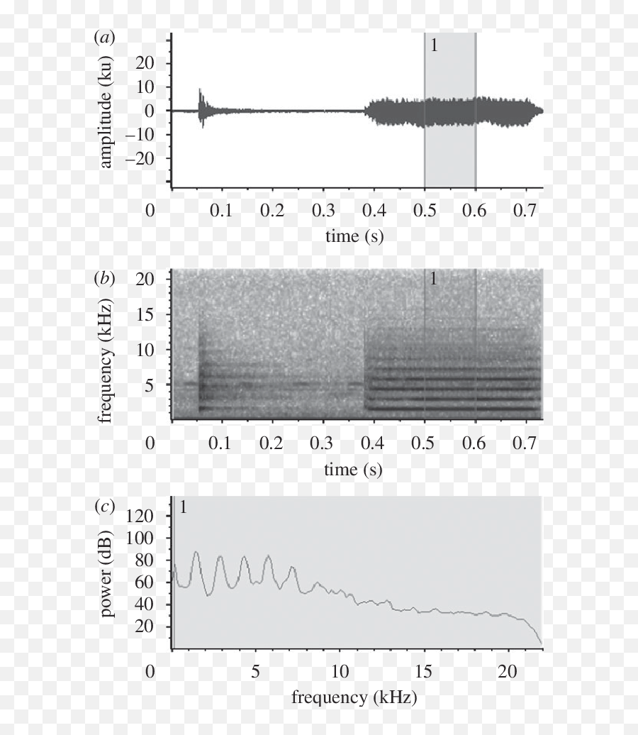 Waveform B Spectrogram And C Power Spectrum Of Full - Power Spectrum Vs Spectrogram Png,Waveform Png