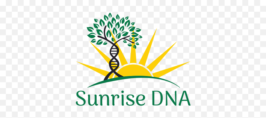 Genetic Genealogy Sunrise Dna - Graphic Design Png,Sunrise Transparent