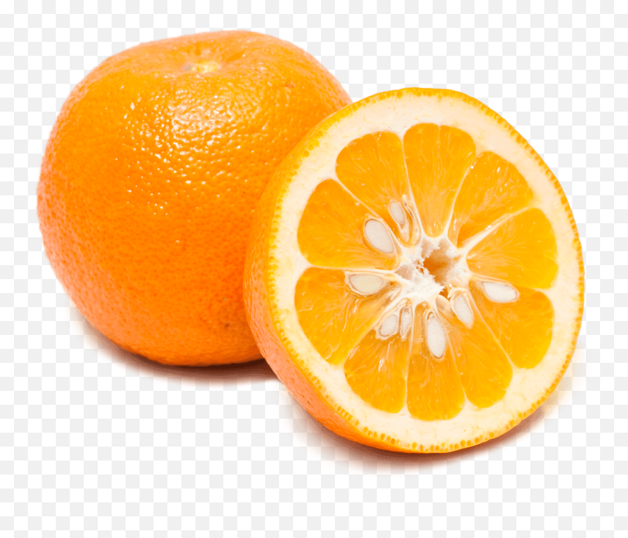 Download Making Sour Orange Pie Without Oranges - Sour Orange Png,Oranges Png