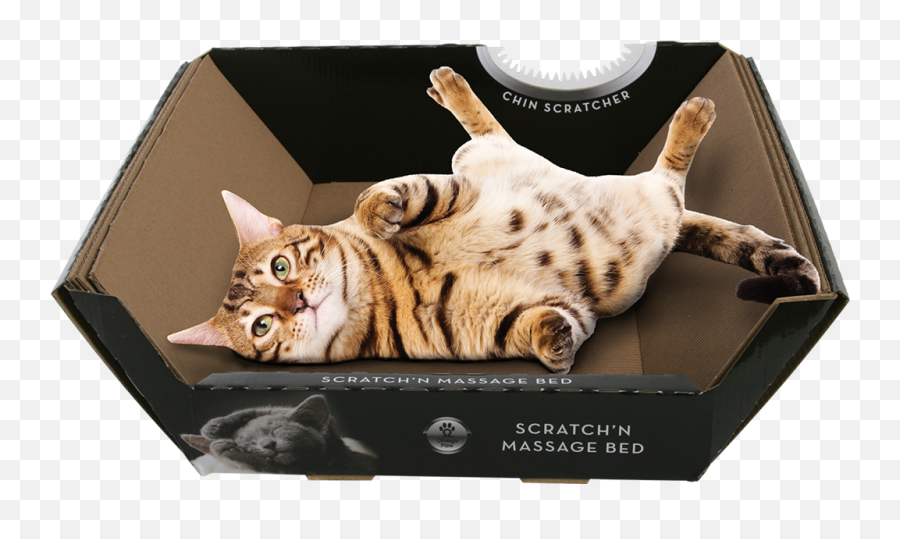 Aug - Ripple Board Scratch N Massage Cat Anipet Animal Omega Paw Ripple Board Massage Bed Png,Scratch Cat Png