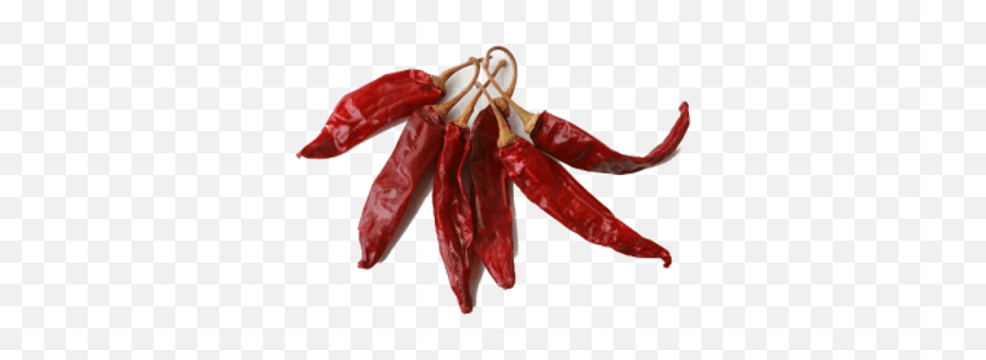 Red Pepper Transparent Png - Red Dry Chilli Png,Red Pepper Png