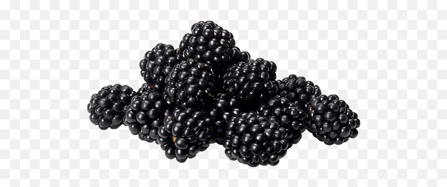 Blackberry Transparent Png Image - Blackberry,Blackberries Png