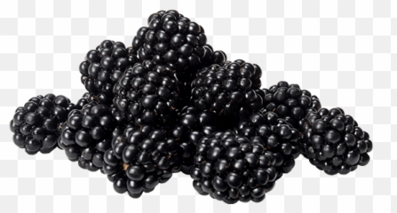 Blackberry Transparent Png Image - Blackberry,Blackberries Png