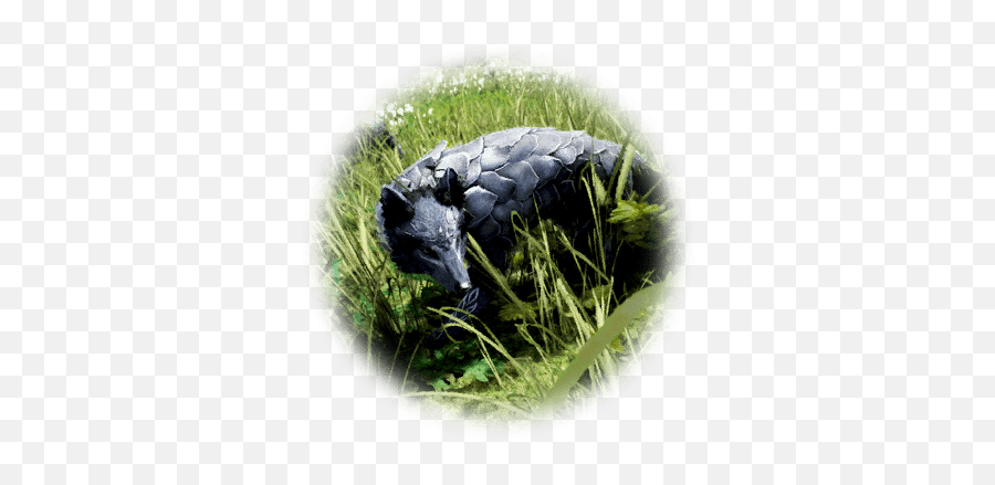 Daily Hunting The Cunning Shadow Wolves - Bdo Codex Grassland Png,Icon Wolf Helmet