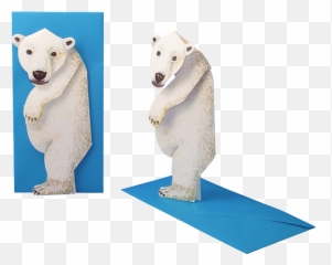 Ice Bear Png - Polar Bear 3284382 Vippng Polar Bear,Polar Bear Png