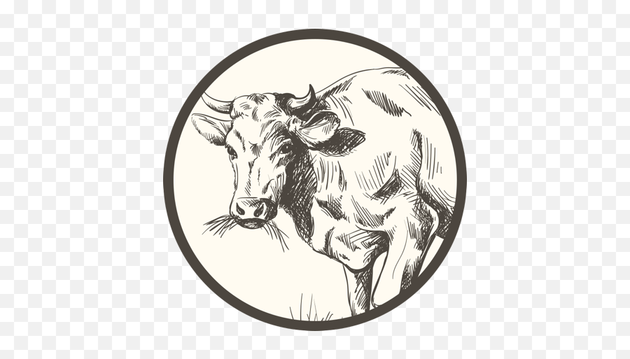 Paleo Meal Delivery Service Open Now Fresh Nu0027 Lean - Sketch Of A Cow Grazing Png,Nutrition Icon Sets
